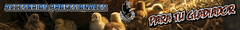 Banner de la categoría Accesorios/Herramientas para el pastor