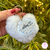 Chaveiro Pompom Personalizado Acrílico - comprar online