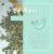 BASE + 1 INGREDIENTE - Té Conté Dispensario Chile - Tés y Hierbas 