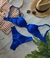 BIQUINI BLOGUEIRA - Blue Mille