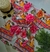 KIT BORY + KIMONO na internet