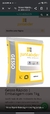 Gesso