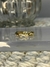 Anillo ''Gen''