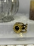 Anillo ''Astro'' en internet