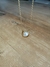Collar ''Pearl'' - Tuxedo Accesorios