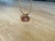 Collar ''Archie'' en internet