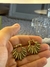 Pendientes ''Raiz'' - comprar online