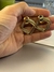 Pendientes ''Selena'' - tienda online