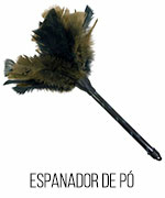 Categoria 6