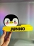Base photocard especial do Junho ✨ na internet