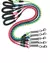 Correa Resorte - comprar online