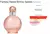 Naked Fantasy Eau de Parfum Britney Spears - Perfume Feminino - RG Imports | Perfumes Importados
