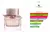My Burberry Blush Eau de Parfum - Perfume Feminino - RG Imports | Perfumes Importados