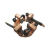 PIS237 - comprar online