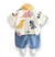Imagem do Conjunto Gui