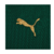 Camisa Palmeiras HOME Torcedor I 24/25 Puma na internet