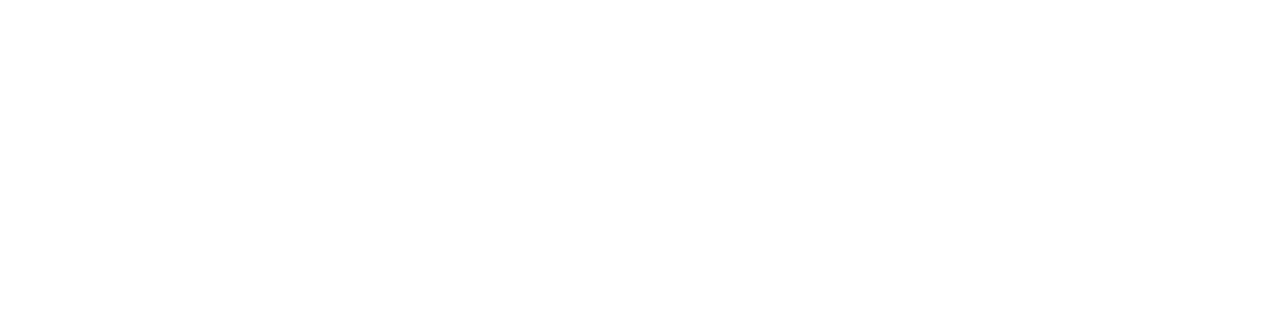 Casa Bartender