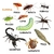 Kelldrin Sc25 Kit 5 Unidades 30ml Inseticida Formula Concentrada Mata Escorpião Barata Aranhas Traças Pulgas Cupim - Pena Verde