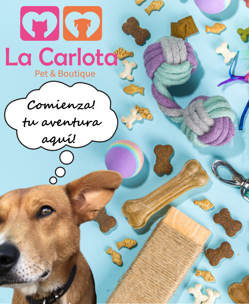 Carrusel 1