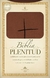 BIBLIA. RVR60 Plenitud manual terracota - comprar en línea