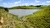QUADRO DE CAMPO - NATUREZA SELVAGEM - comprar online