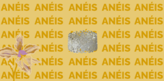 Banner da categoria Anéis 