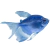 TETRA COLOR BLUE