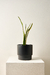 Maceta Kyoto Grande - MocaHome.co