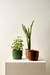 Maceta Kyoto Mediana - comprar online