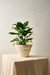 Maceta Cairo Grande - comprar online
