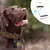 Pet Smart Localizador GPS - UNIMIX