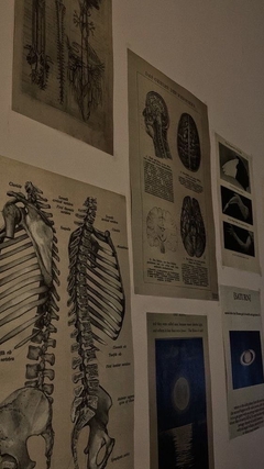 Banner de la categoría Adicional