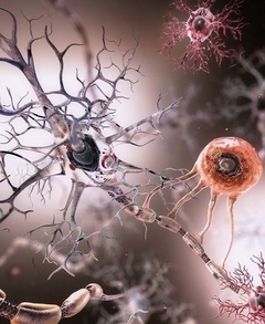 Banner de la categoría Ciencia