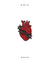 Pin corazón y espinas