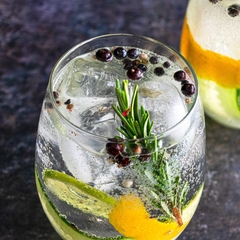 Banner de la categoría Gin
