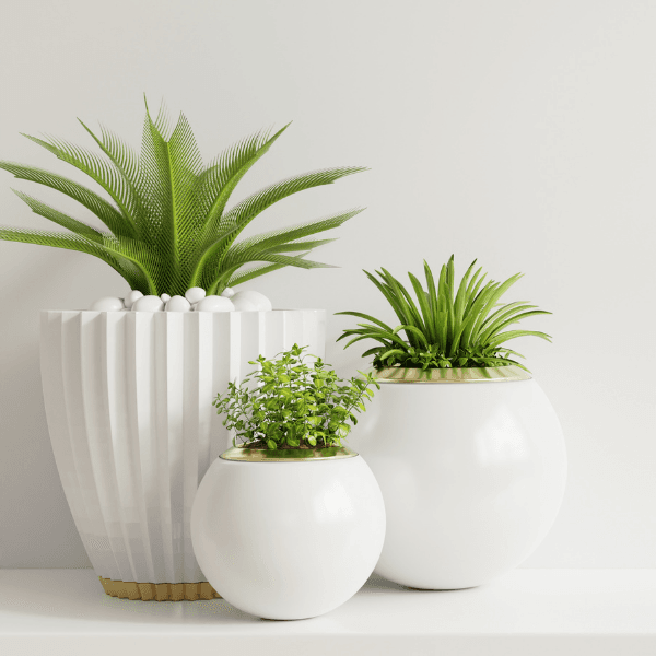 Decoração