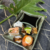 Conjunto refratário comida japonesa + porta shoyu/tarê - LAÊ - home decor