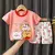 Conjunto de camiseta e shorts