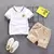 Conjunto de camiseta e shorts de algodão de manga curta infantil na internet