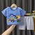 Conjunto de camiseta e shorts - Mundo Encantado
