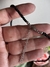 Choker AMOR | Negro | Disp. en Londres Cta en internet