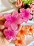 Broche HAWAI | Fucsia | Disp. en Londres Cta.