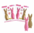 Molde Conejo Moderno huevo pascuas - Set x 2 Placas de Acetato - PARPEN en internet