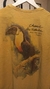 T-shirt Stone Flame Tucano Nature - King & Joe na internet