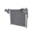 INTERCOOLER ACTROS 2045/2548/2553/2651/2653/ AROCS 3351/4151 - comprar online