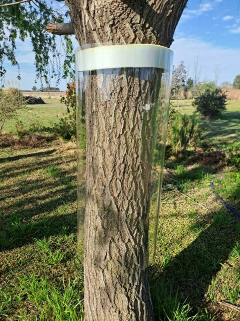 Barrera para árboles, contactanos