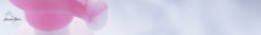 Banner da categoria Sabonetes
