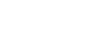 Roncar Customs