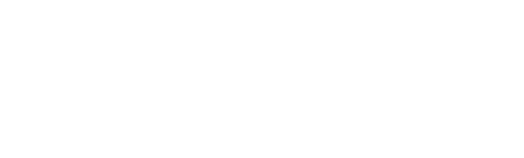 Roncar Customs
