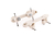 Plancha Roll Line Mirage en internet